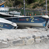 Barche Centro Velico Caprera Lerici (SP) decorazioni speciali - Beps'n Peps per conto di Squillari Arti Grafiche Srl Torino